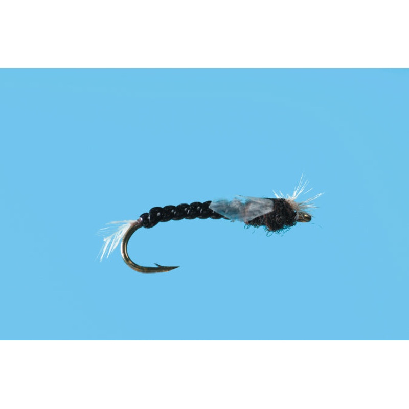 Solitude Chironomid