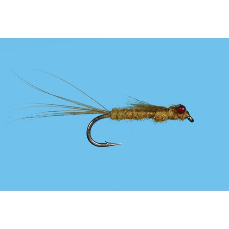 Solitude Damsel Nymph Red Eye
