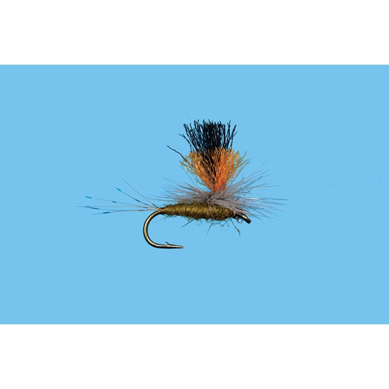 Solitude Double Vision BWO
