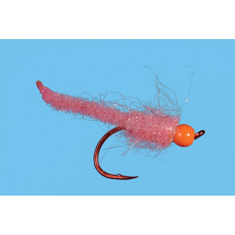 Solitude Egg Larva