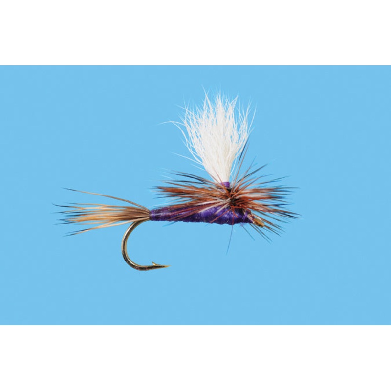Solitude Parachute Purple Adams