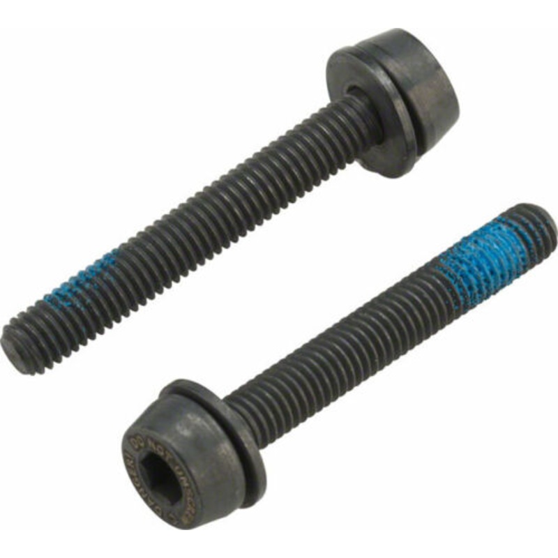 Campagnolo Rear Caliper Mounting Screws