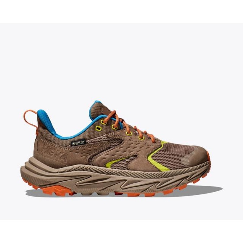 Kids' Anacapa 2 Low GTX