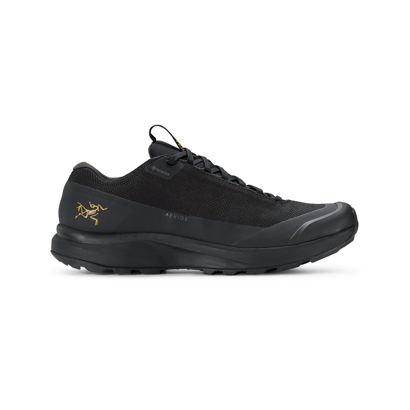 ARC'TERYX Men's Aerios FL 2 Gore-tex Shoe