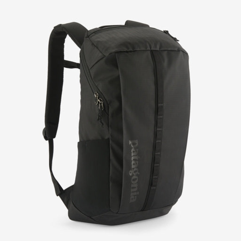 PATAGONIA Black Hole 25L Day Pack