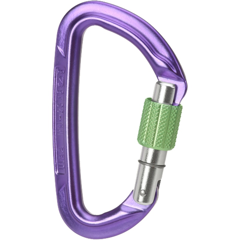 Wild Country Climbing Session Screw Gate Locking Carabiner