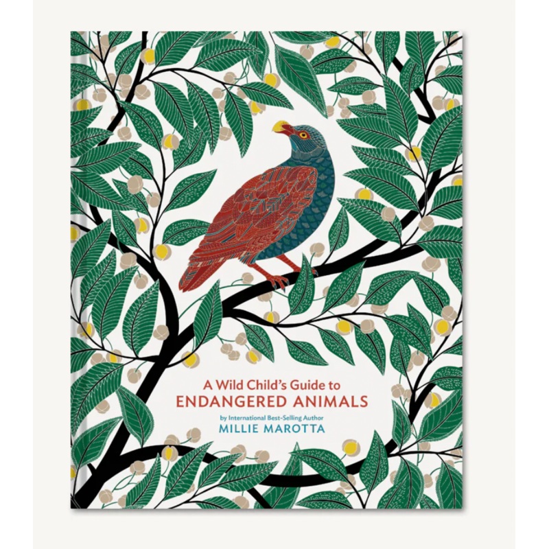 A Wild Child's Guide to Endangered Animals