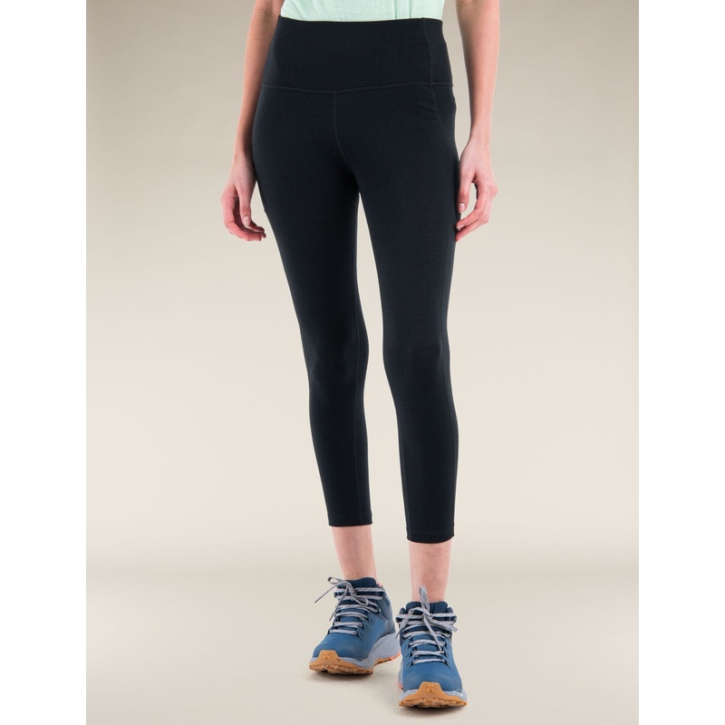 Icebreaker Merino 260 Fastray 25" High Rise Tights (Women's)