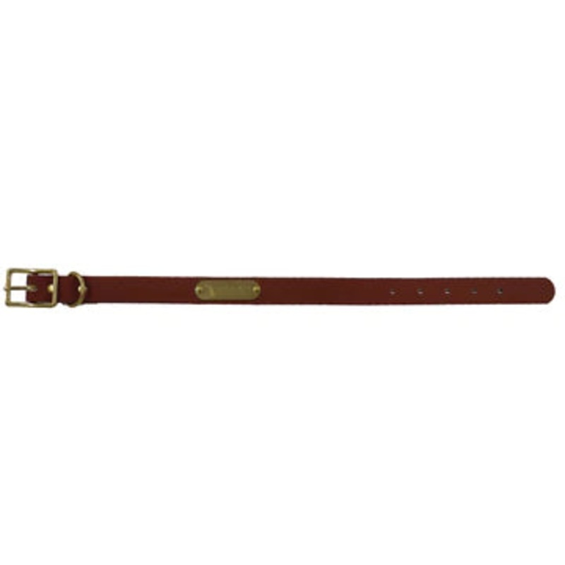 Local Boy Outfitters Biothane Dog Collar