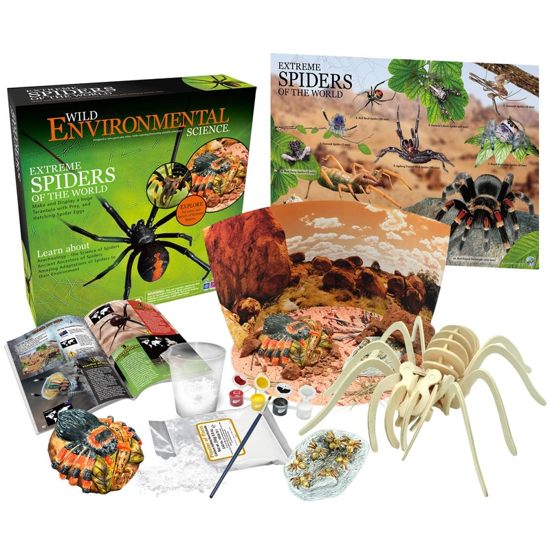 Wild Enviromental Science: Extreme Spiders of the World