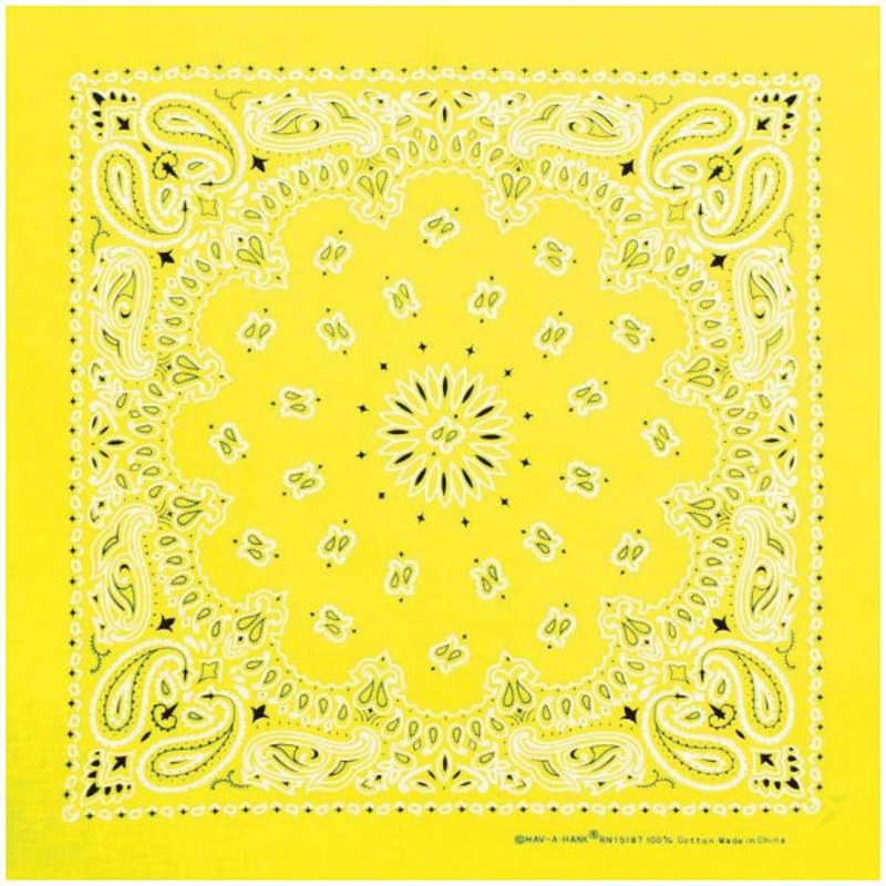 Bandana Neon Paisley